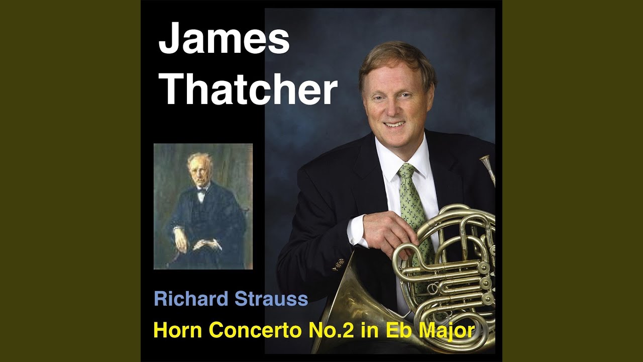 Richard Strauss: Horn Concerto No. 2 in E-Flat Major, Trv 283: I. Allegro - II. Andante con...