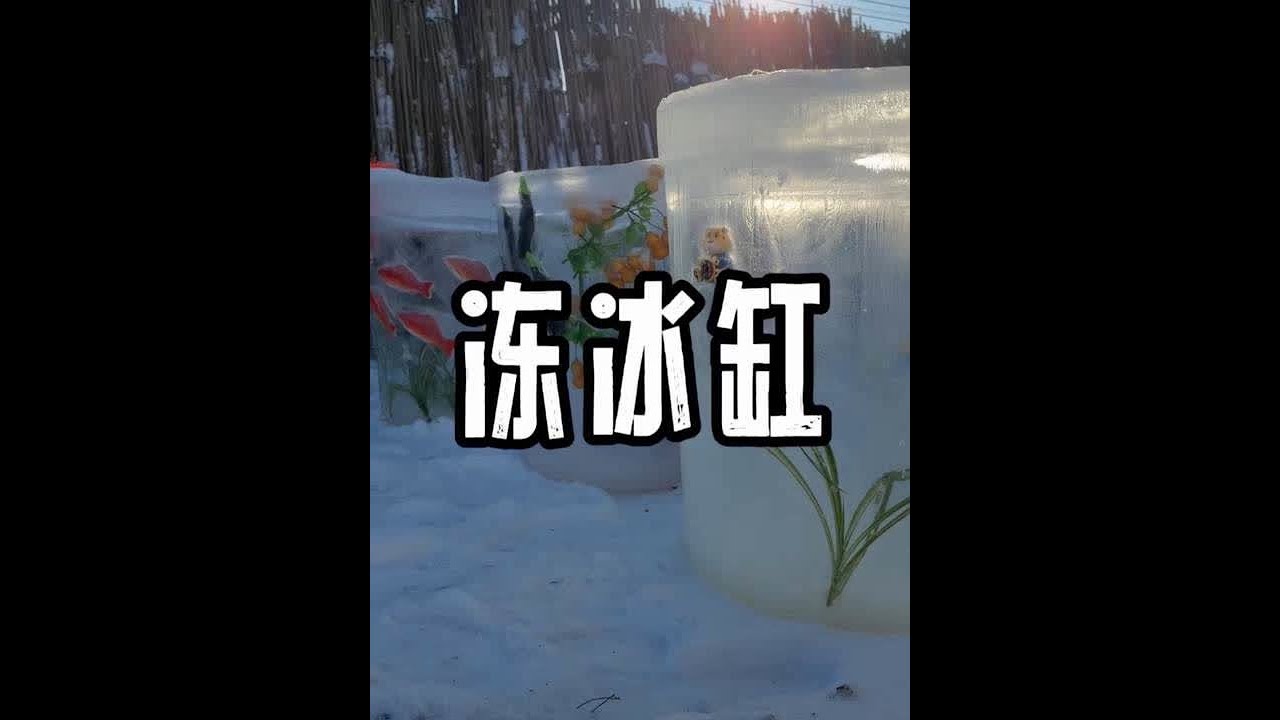 这冰缸冻的不如化的快，忽冷忽热的！ #一年一度冰缸大赛 #抖音新农人 #新农人计划2026 #农村美食 #天然大冰箱