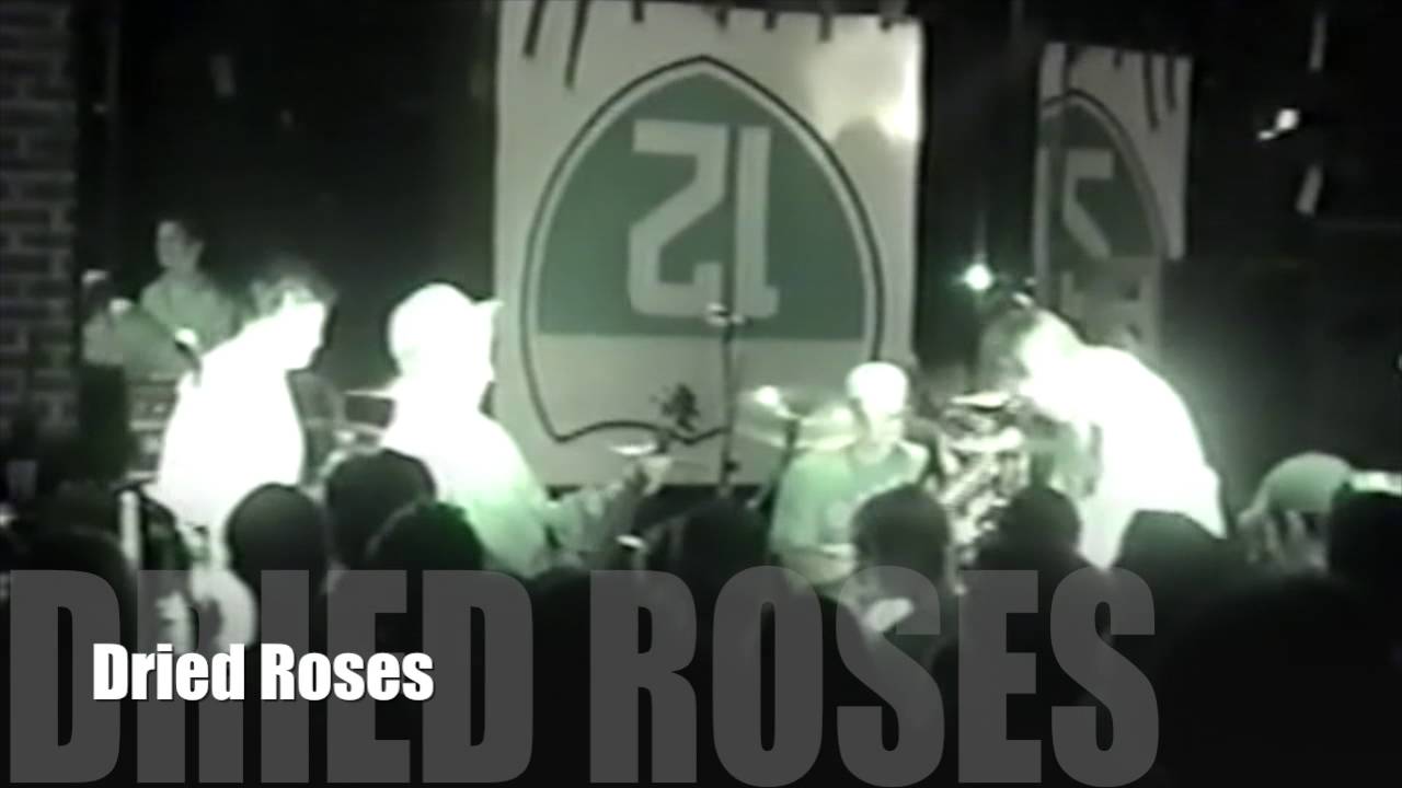 Inspection 12 - live at Fat Kat - 12/26/2000