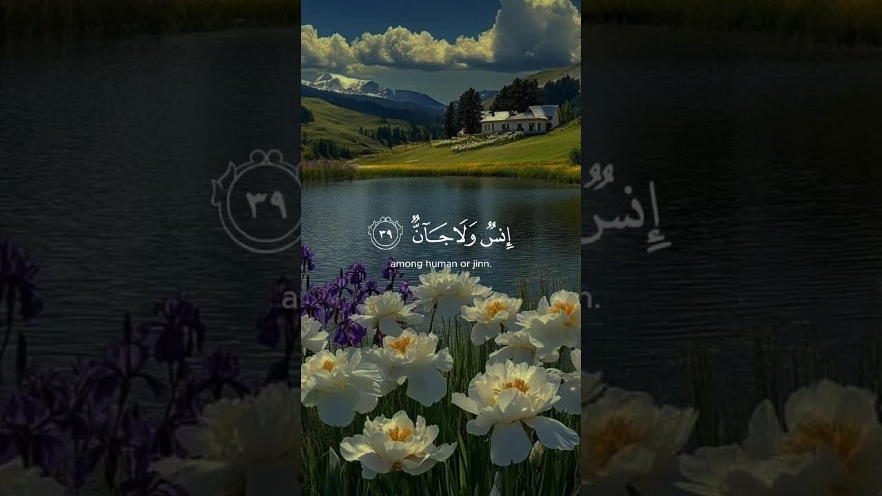 #​رحلة في جنات الرحمن دقائق من السكينةعروس القرآنصوت يريح القلوبتأمل آلاء الله في عشر دقائق مريحة🥺🤲🤍