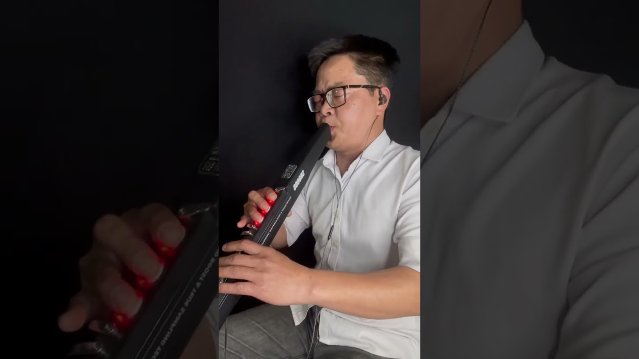 Táng hoa ngâm 糖花腌制 - Sáo điện tử