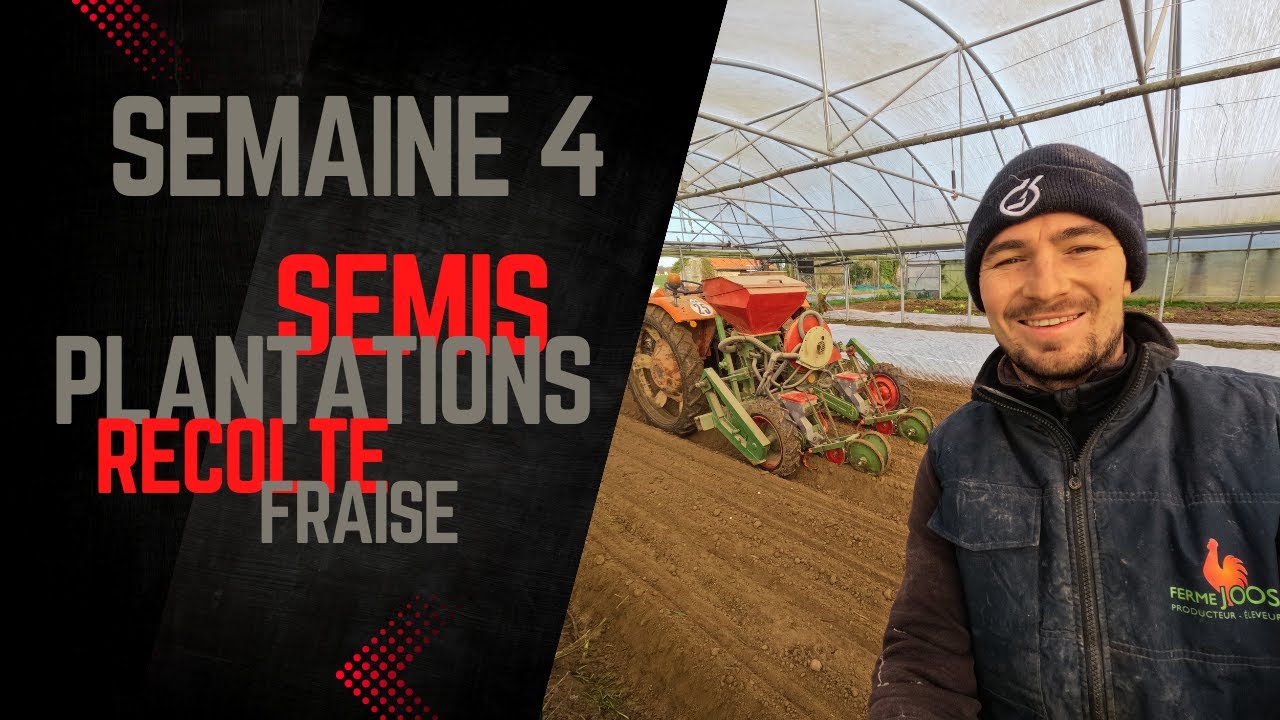 Plantation de pdt, semis et récolte de carottes