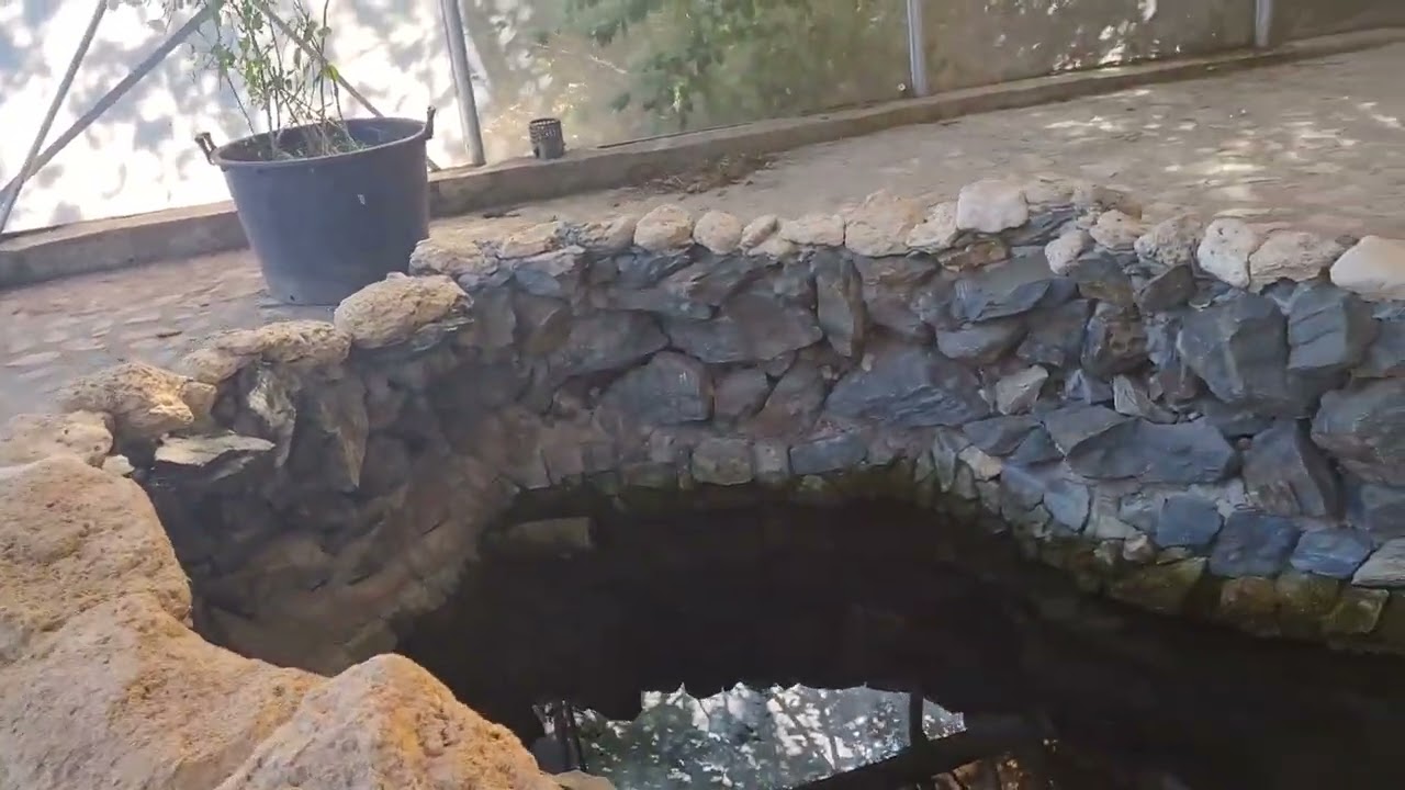 Plimbare prin Microrezervatia din Constanța.