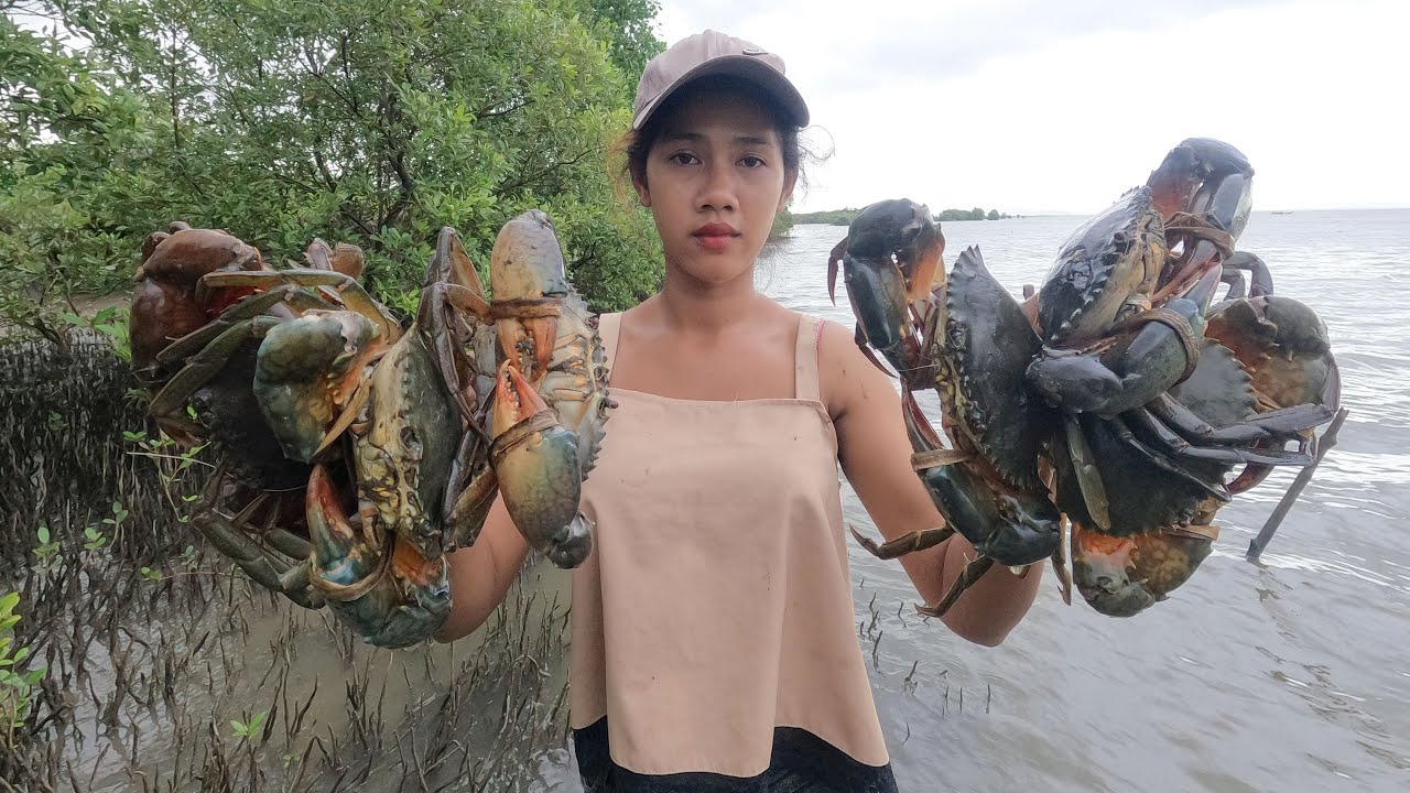 Catching Huge Mud Crabs at Shore In Rainy Season