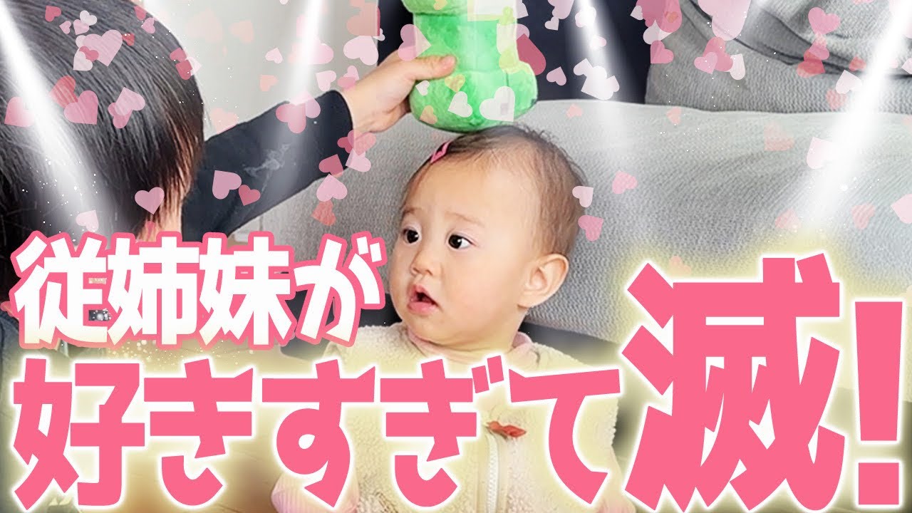 従妹ちゃんが好き過ぎて滅wやけど引かれてない？ｗ7才児(小学校1年生)男女双子＆4才児(年少)末っ子の何気ない日常490