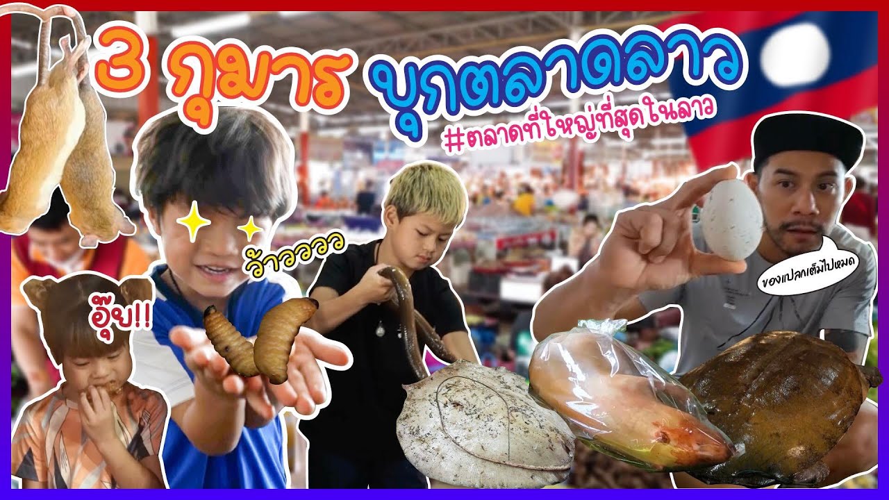 ลุยตลาดของป่าที่ใหญ่ที่สุดในเวียงจันทน์ มีแต่ของแปลกตาแปลกใจ !! | กุมารTravel EP.249