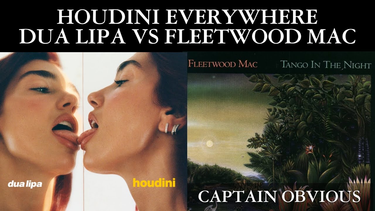 Dua Lipa Houdini but it's Fleetwood Mac - Everywhere