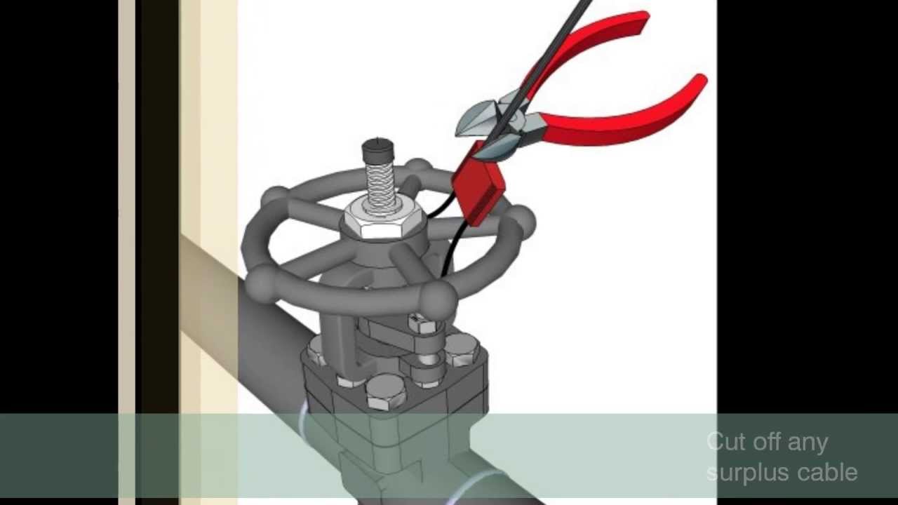 Car Seal Product Video