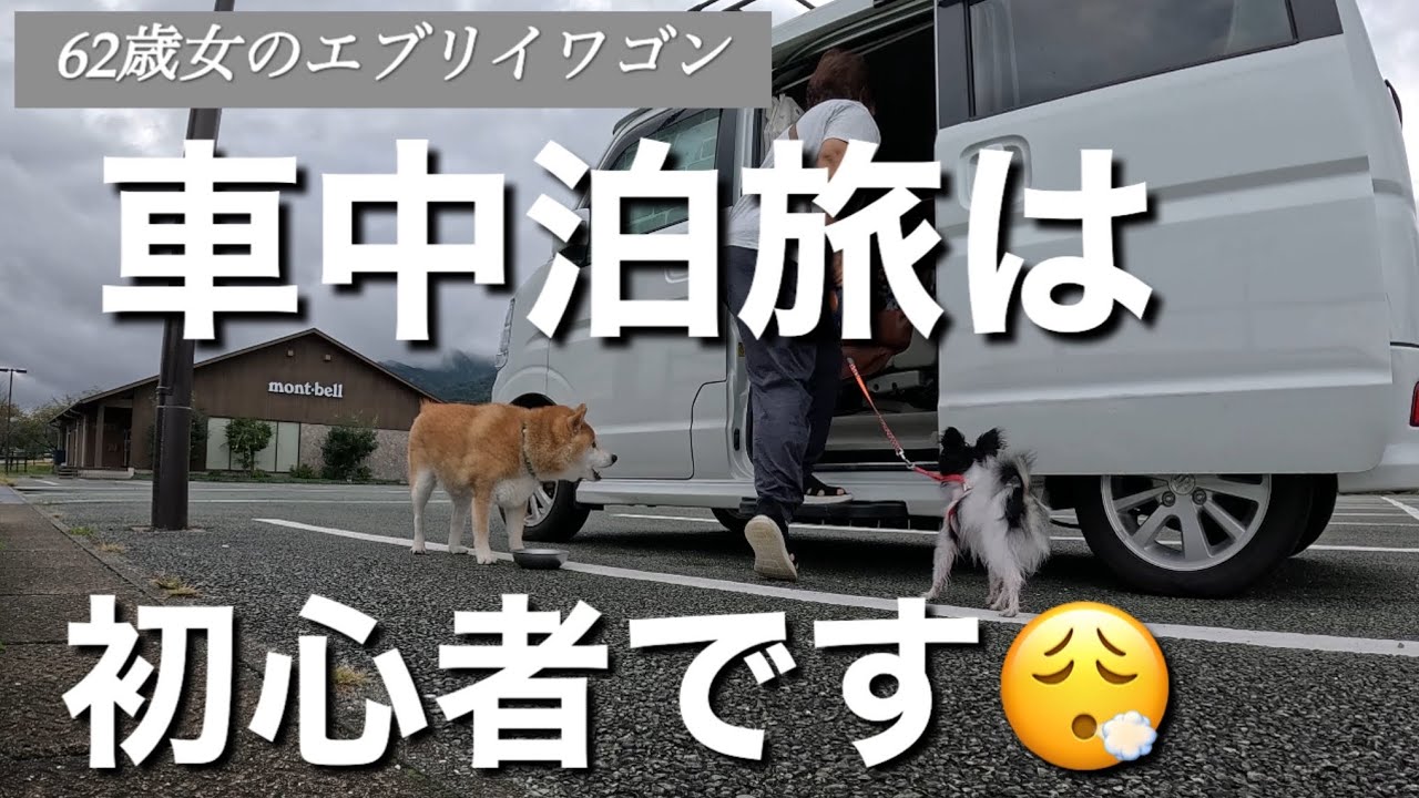 車中泊旅は初心者です＃エブリイワゴン＃車中泊＃軽バン車中泊＃犬連れ旅＃６０代車中泊