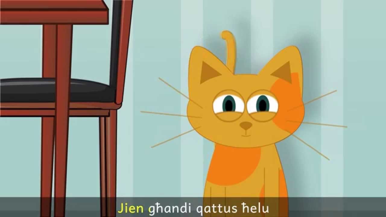 Jien għandi qattus ħelu