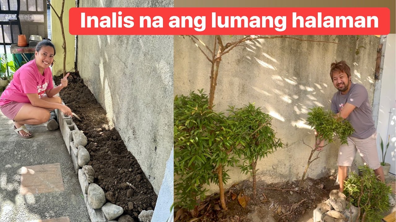 Breakfast sa mini garden | gusto ni Janet magtaning ng gulay