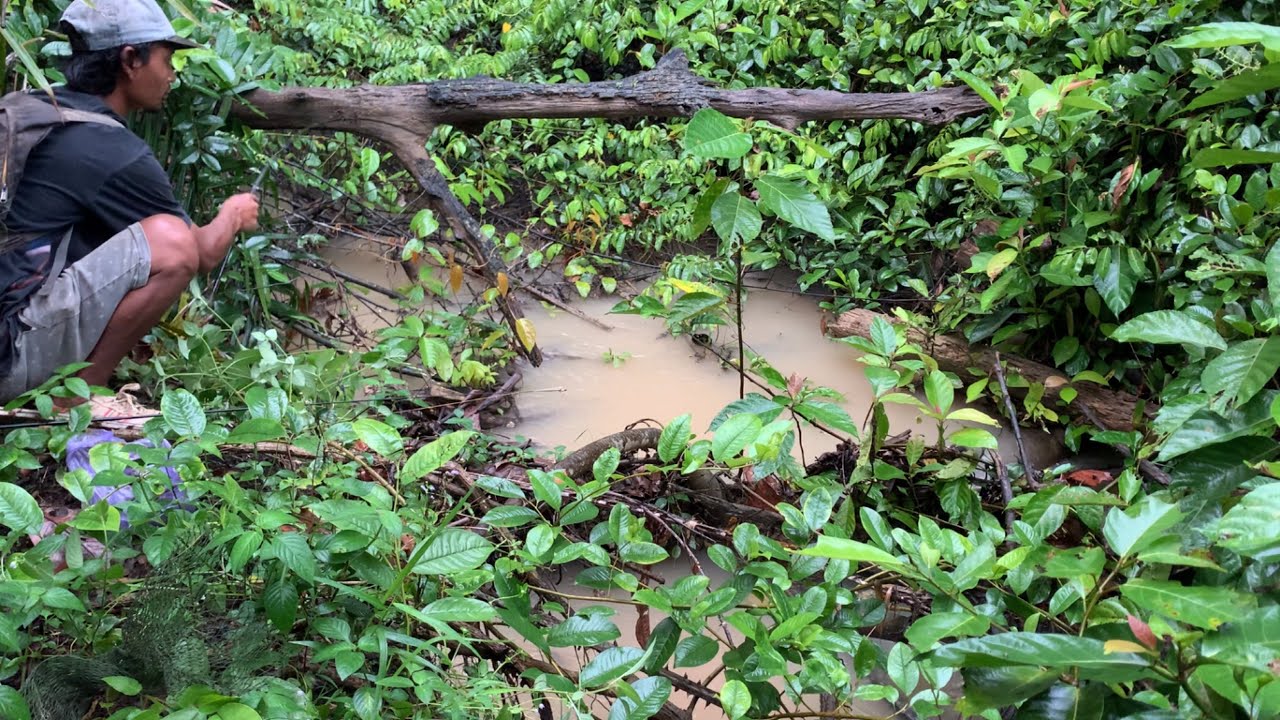 YANG NGGAK TAU PASTI RAGU.!!! MANCING IKAN LELE TOTOL-TOTOL DI SUNGAI KECIL