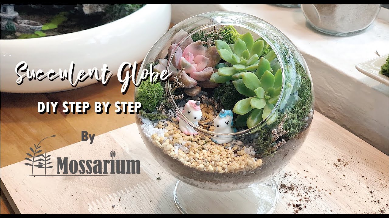 How To Create a Terrarium - Succulent Garden