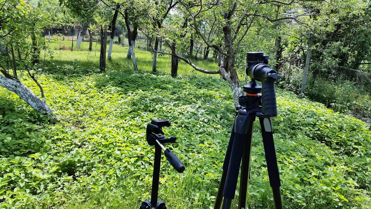 Comparatie trepied foto Fancier WF3642 cu Vanguard Alta PRO 263AGH