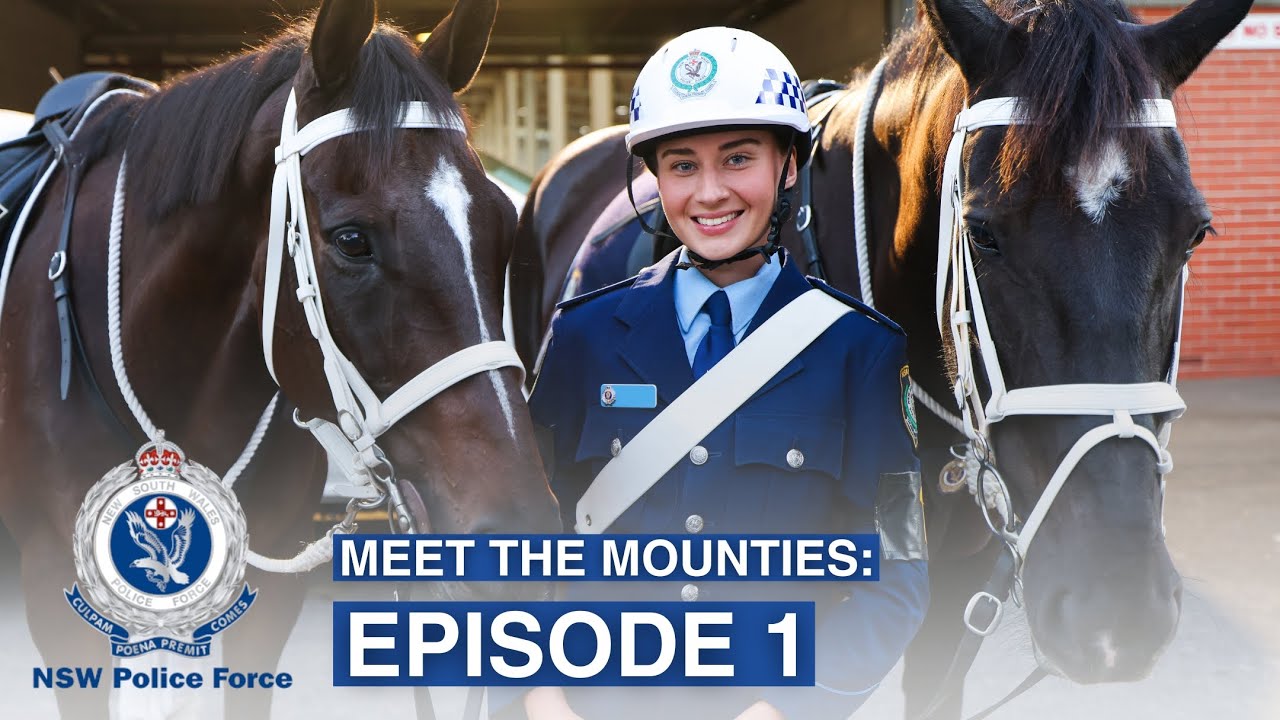 Meet the Mounties: Behind the Stable Gates - NSW Police Force