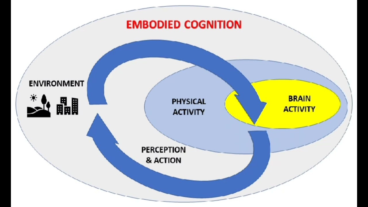 Embodied Cognition: The Intriguing Connection between Mind and Body