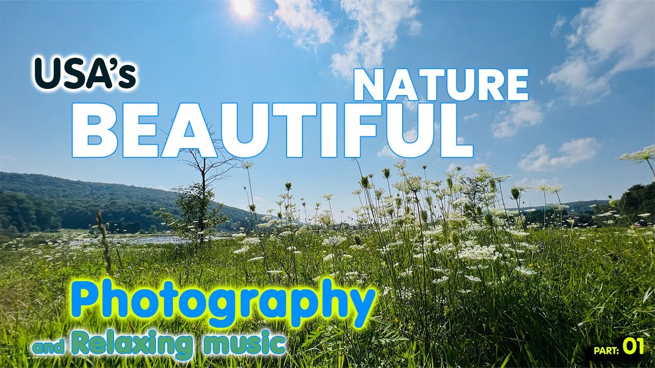 United States of America | Virginia | Beautiful Photography.