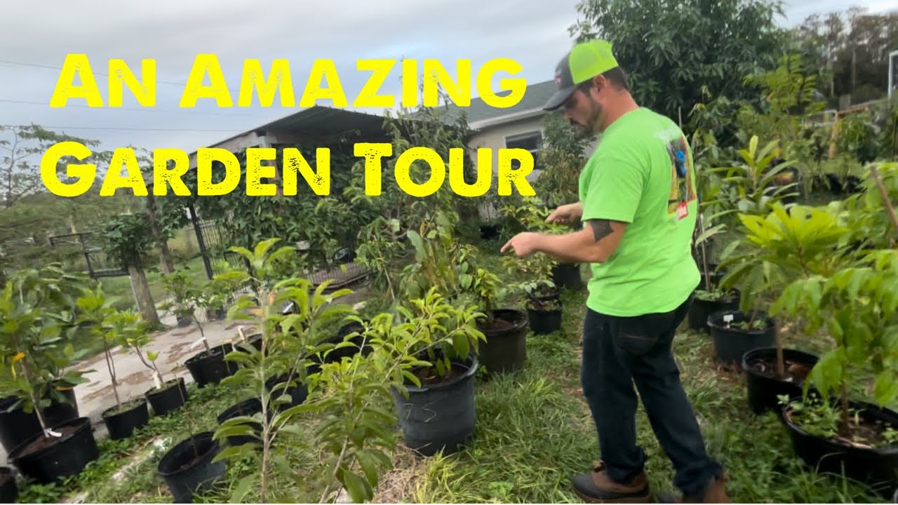 Touring an Amazing 2 acre tropical fruit garden