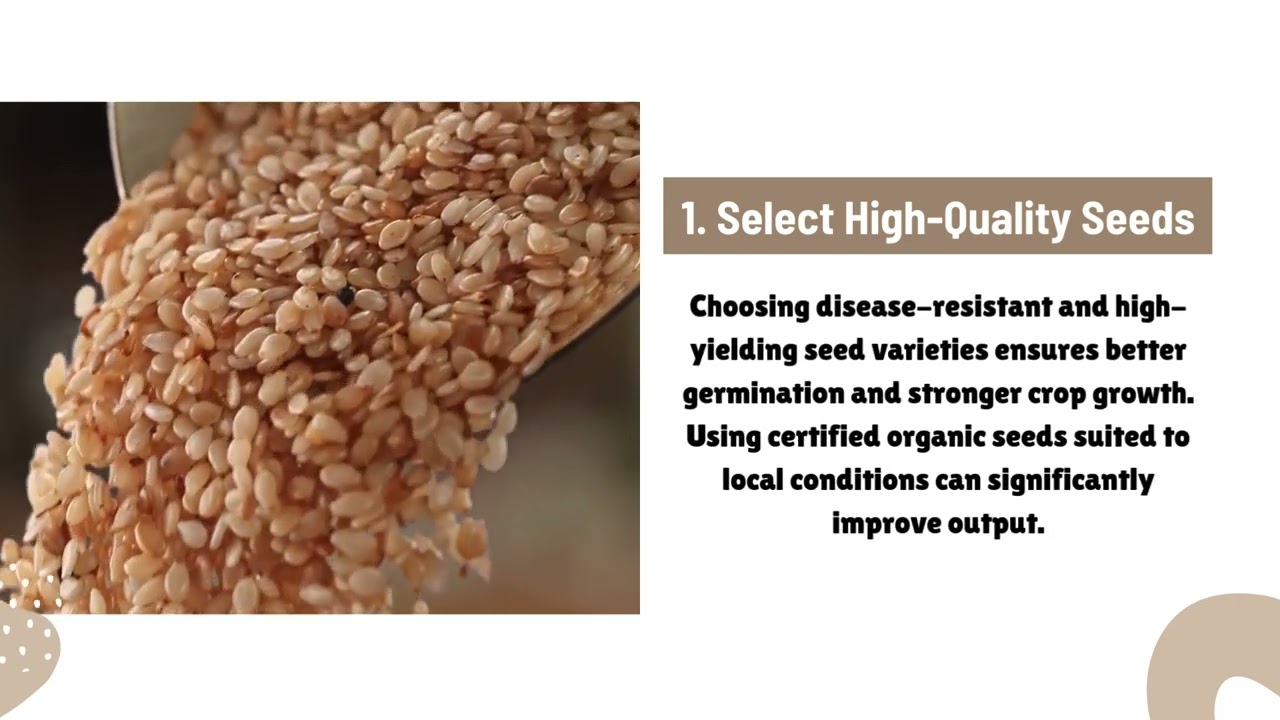 Toor Farming 5 Tips to Boost Crop Yield Naturally