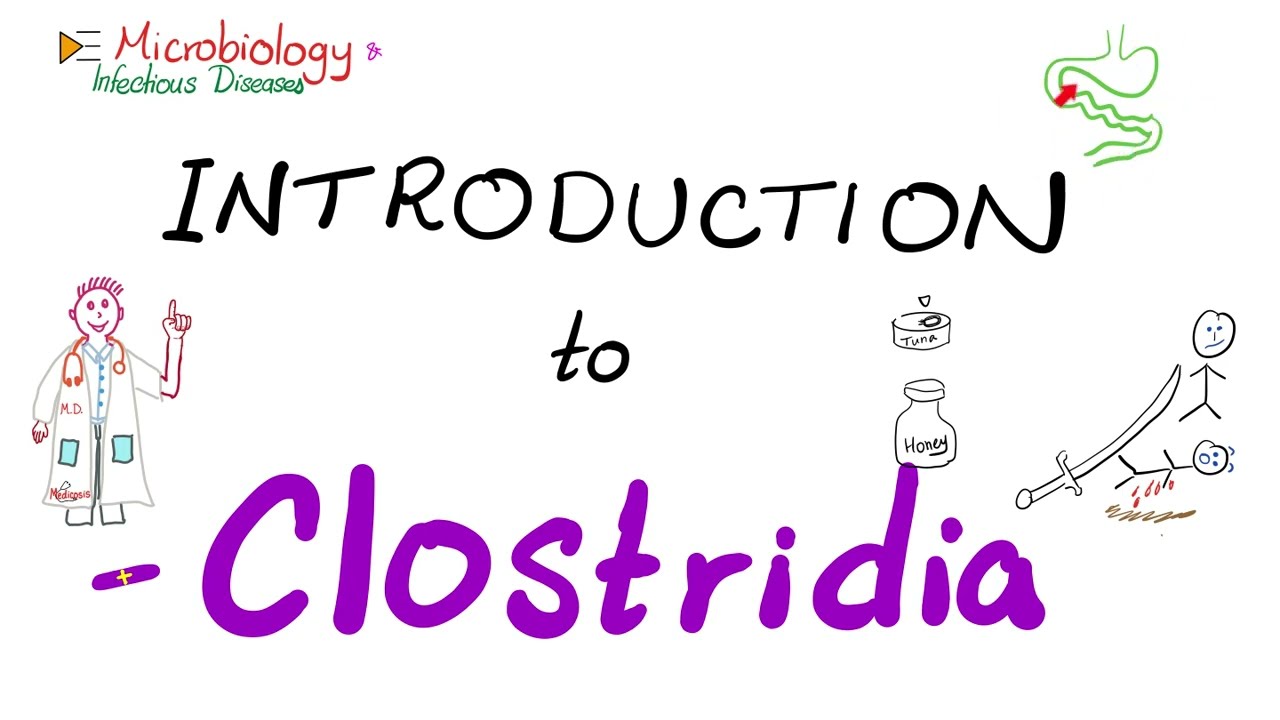 Введение в клостридии (Clostridium tetani, botulinum, perfringens, difficile) | Микробиология 🧫