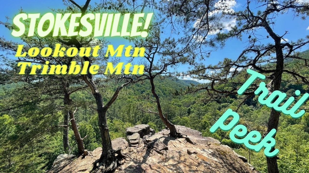 Stokesville MTB | Trimble Mountain + Lookout Mountain Trail Peek | GWNF, VA
