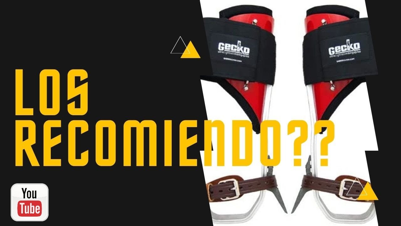 Review de spikes gecko