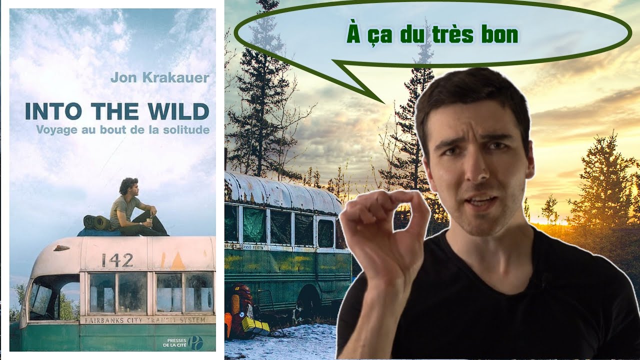 Into The Wild / Critique, Avis et Analyse (SANS SPOIL)