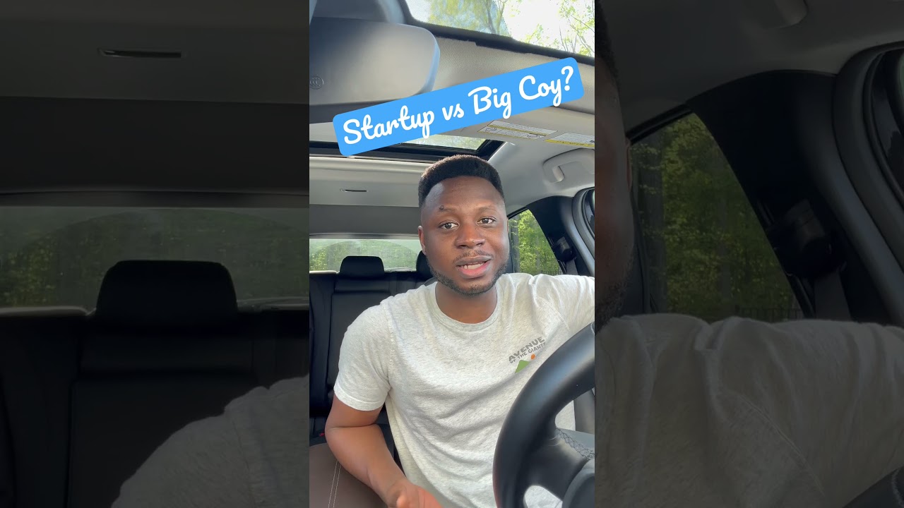 Start up vs Big coy? #internationalstudents #opt #jobsearch #stemopt #visa