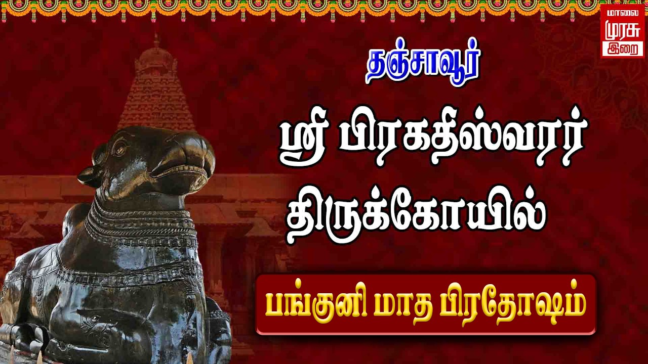 🔴LIVE: தஞ்சாவூர் ஸ்ரீ பெருவுடையார் கோயில் பங்குனி மாத பிரதோஷம் | Thanjavur Sani Maha Pradosham