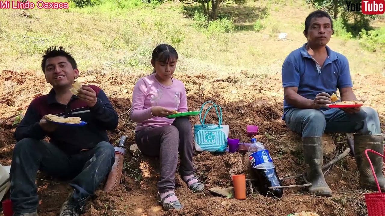 Mientras mi papá y yo trabajamos en el campo mi mamá nos consiente con unas deliciosas quesadillas 🌮