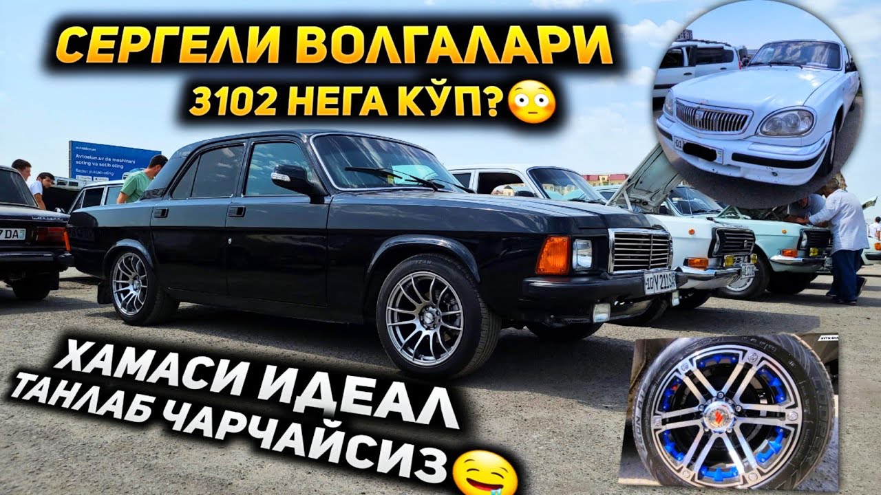 Сергелида волгаларни бутунлари, хавас қилиб кўрасиз! 3102 идеаллари!