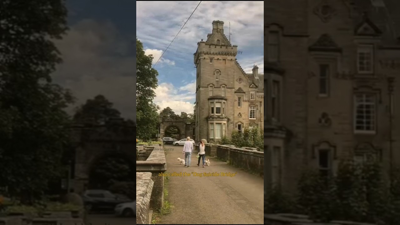Overtoun Bridge, Scotland..#dog #history #explore #worldwide #facts #fact #shortsfeed #shots #fyp