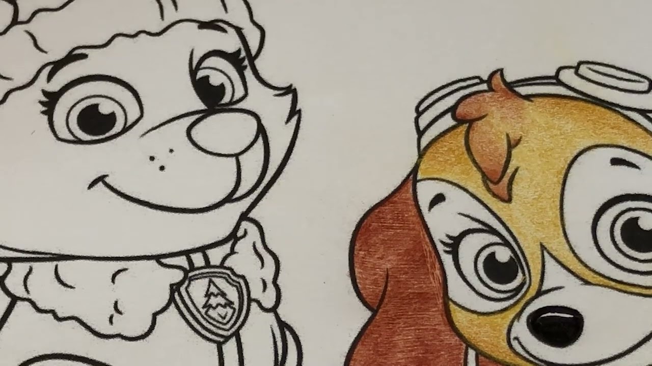 COLORINDO SKYE E EVEREST 😊 COLORING PAGE
