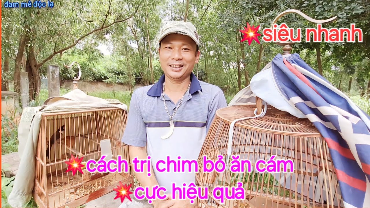 Cách Trị Chim Bỏ Ăn Cám Xù Lông Cực Hiệu Quả | đam mê độc lạ
