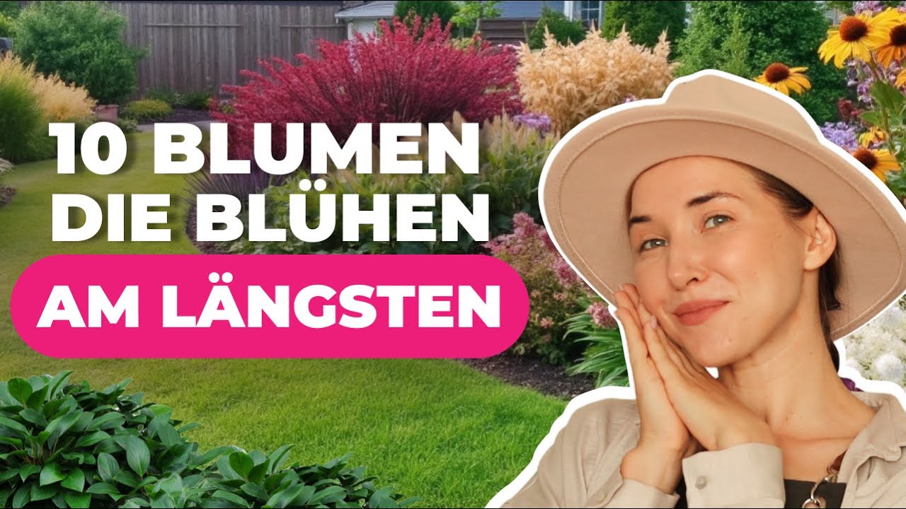 Sorgloser Blumengarten | 10 Stauden, die den ganzen Sommer bl&uuml;hen | Dutch-Bulbs.com