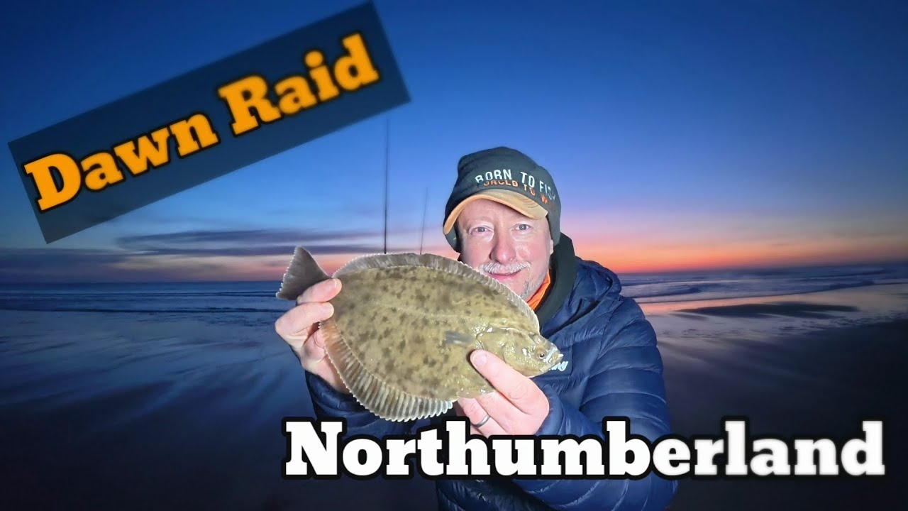 NORTH EAST SEA FISHING | NORTHUMBERLAND  |  BIG FLOUNDERS AT DAWN.