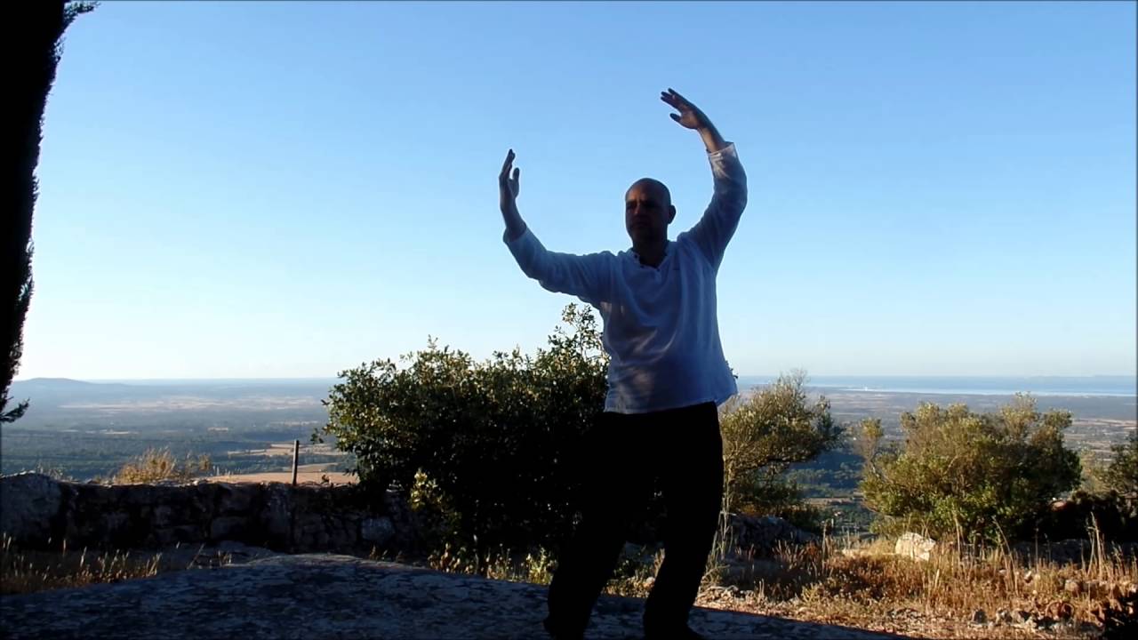 Taijiquan & Qigong Netzwerk Deutschland e.V. - Gerold Gerber - Shibashi 18 harmonische Bewegungen