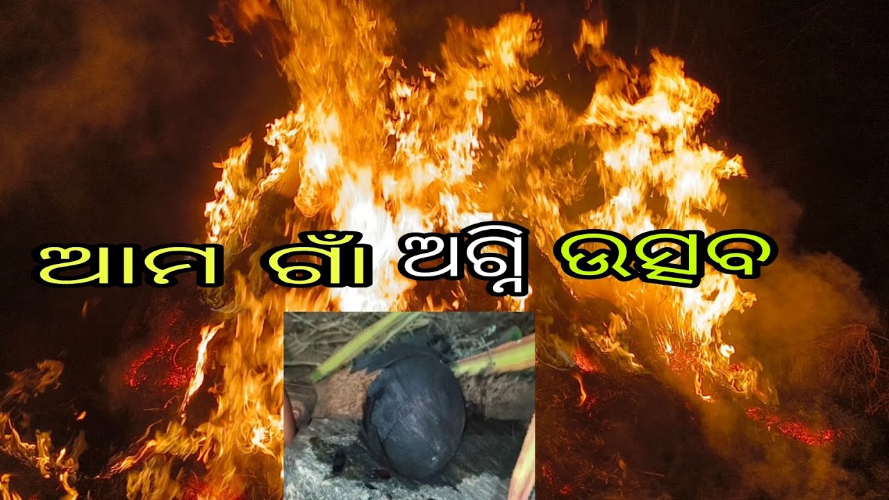 ଆମ ଗାଁ ଅଗ୍ନି ଉତ୍ସବ 🥰#odisha #odia #odiavolg #foryou @Shaktivlogs88 