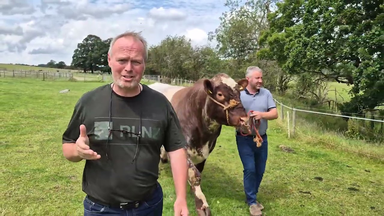 Sultan's Big Day at Cannon Hall Farm