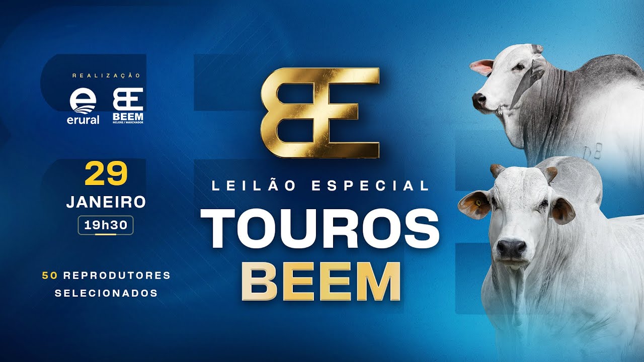 Leilão Especial Touros Beem