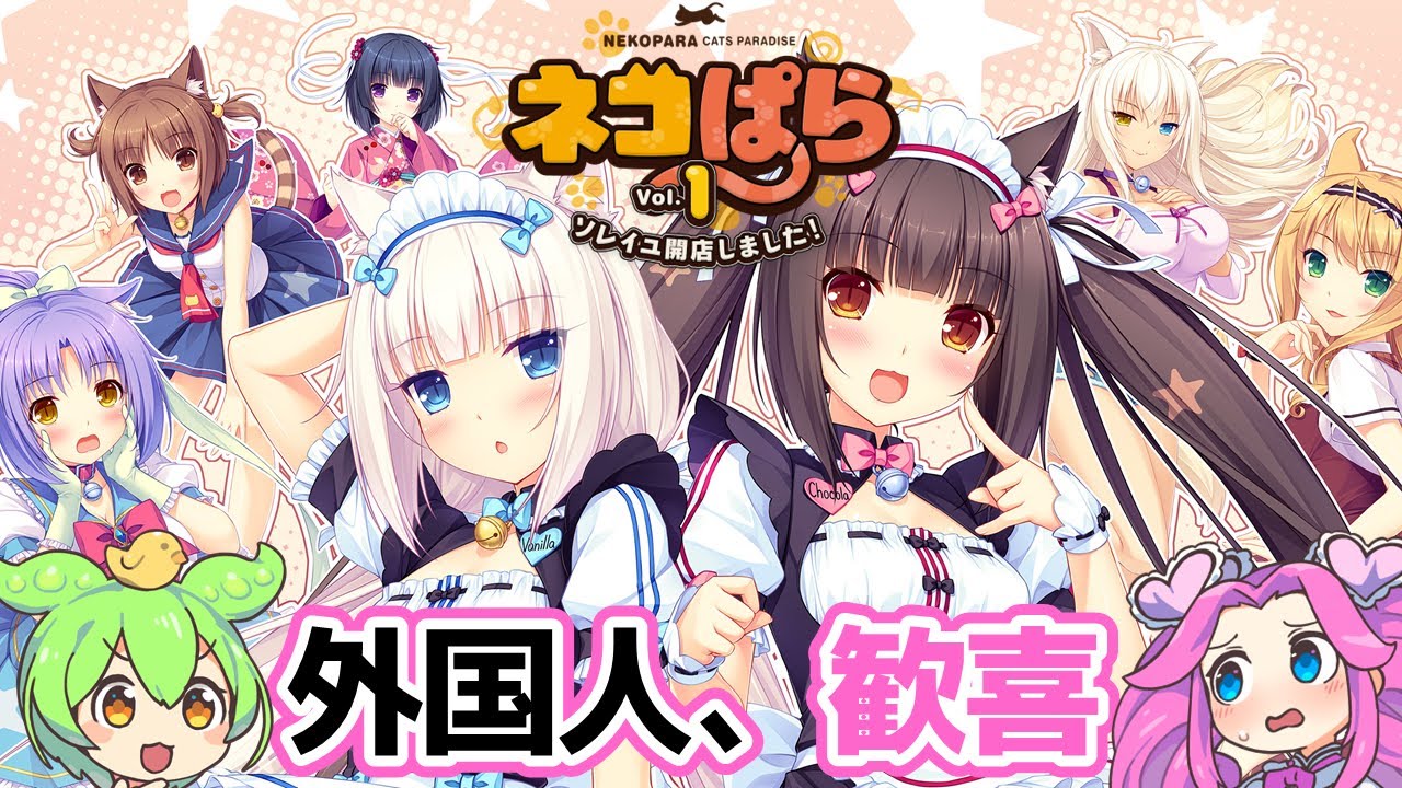 何が猫ミームだこっちはネコぱらだぞ【VOICEVOX】