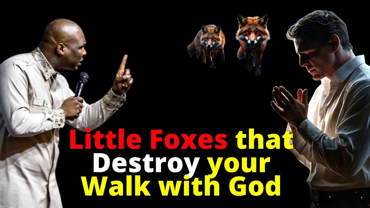Little Foxes That Destroys Your Walk with God | APOSTLE JOSHUA SELMAN