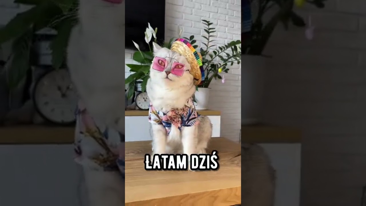 Kocimiętka w nosie &hellip;. #shorts