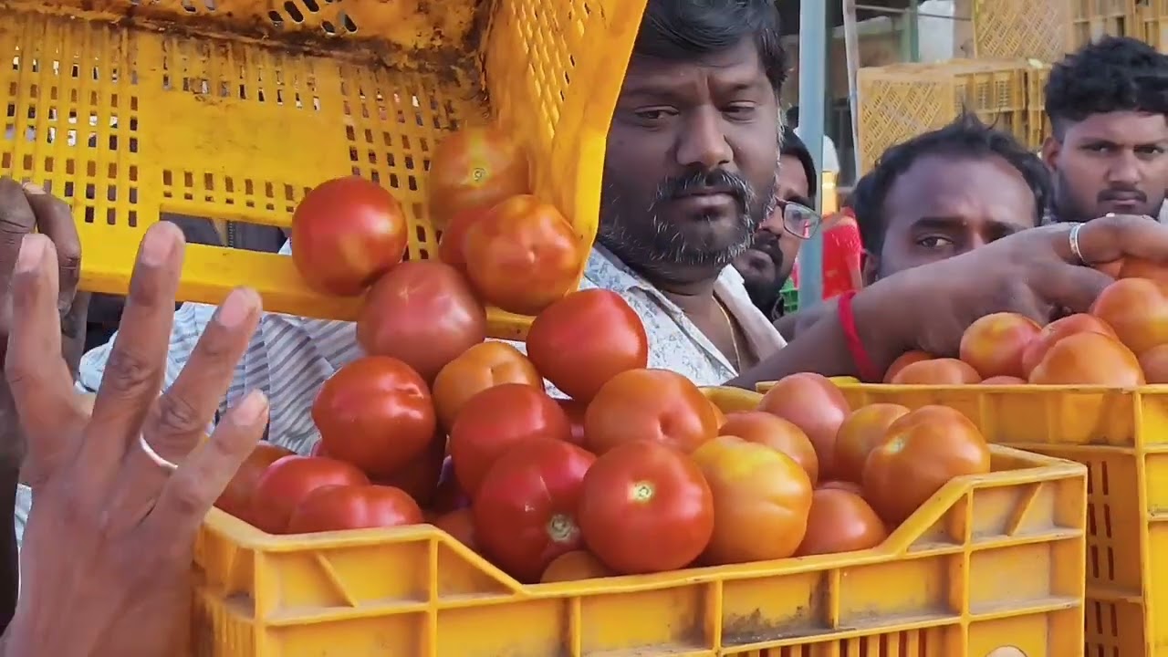 23/01/26 Tamota rates at palamnear market
