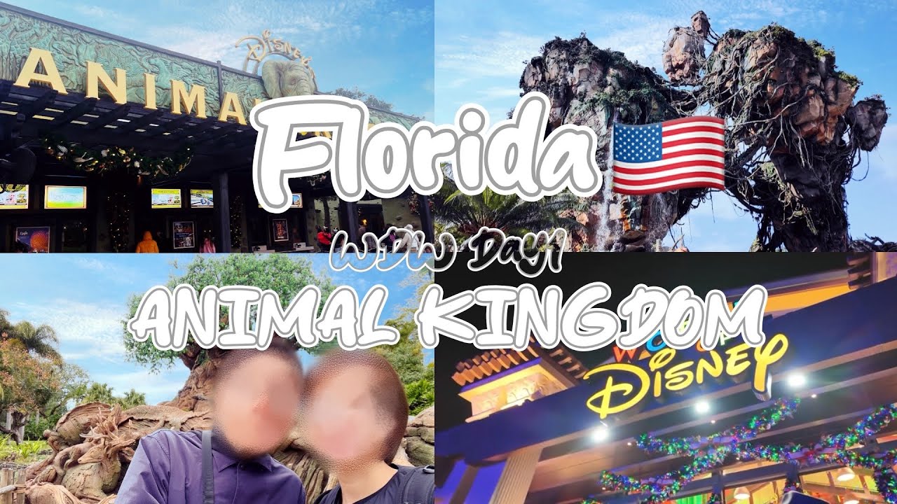 【フロリダ旅行】#1 12月*WDW Animal kingdom & Disney springs/海外ディズニー♡