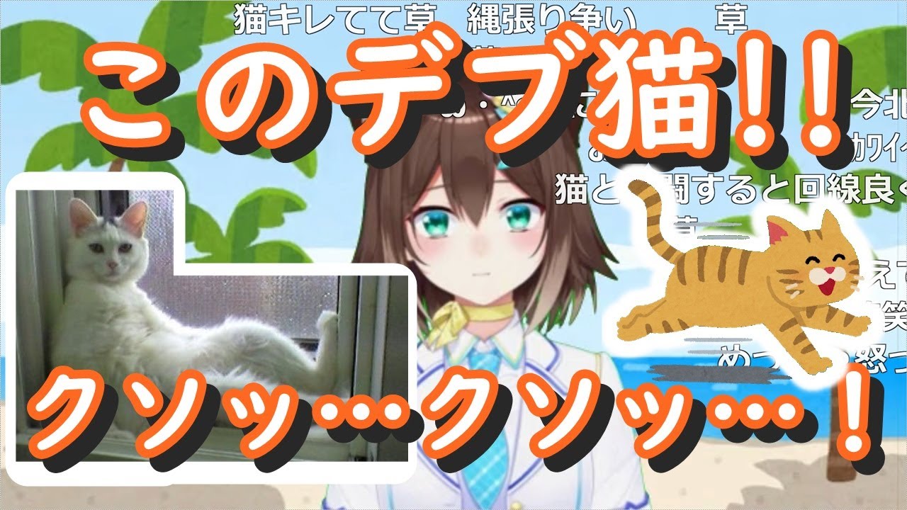 ポケットWiFiの上に猫が乗っかって暴言を吐く文野環【にじさんじ/切り抜き/ふみのたまき】