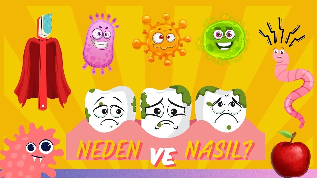 Neden Dişlerimizi Fırçalarız? | Eğitici Animasyon | Okul Öncesi Eğitim | Eğitici Çocuk Videosu