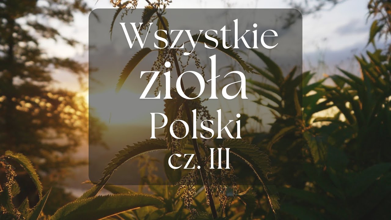 Wszystkie zioła Polski - Prezentacja gatunk&oacute;w cz.III | Podcast Botaniczny nr 21