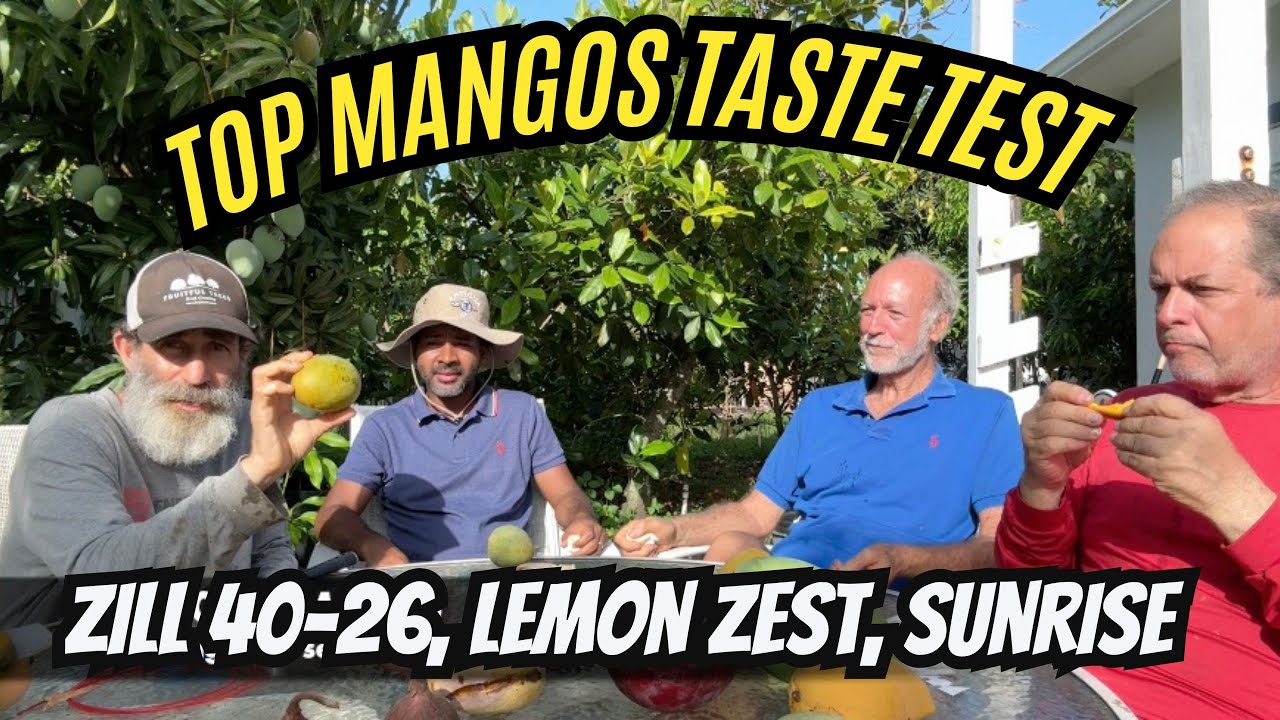 Mango Tasting: CAC, Phoenix, 40 26, Sunrise, Dot, Dwarf Hawaiian, Lemon Zest – Which One Is Best?