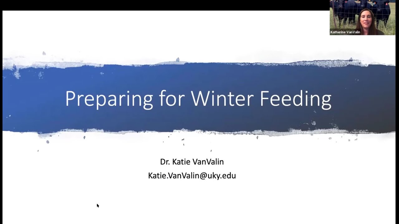 Beef Management:  Preparing for Winter Feeding
